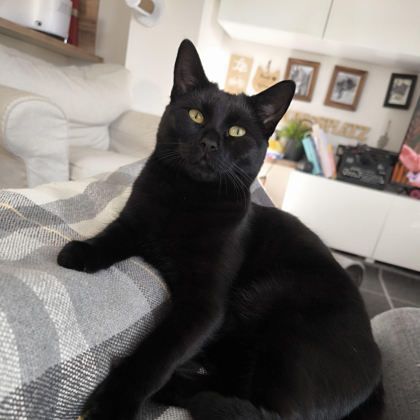 Lilly - Sieglinde Loibichler