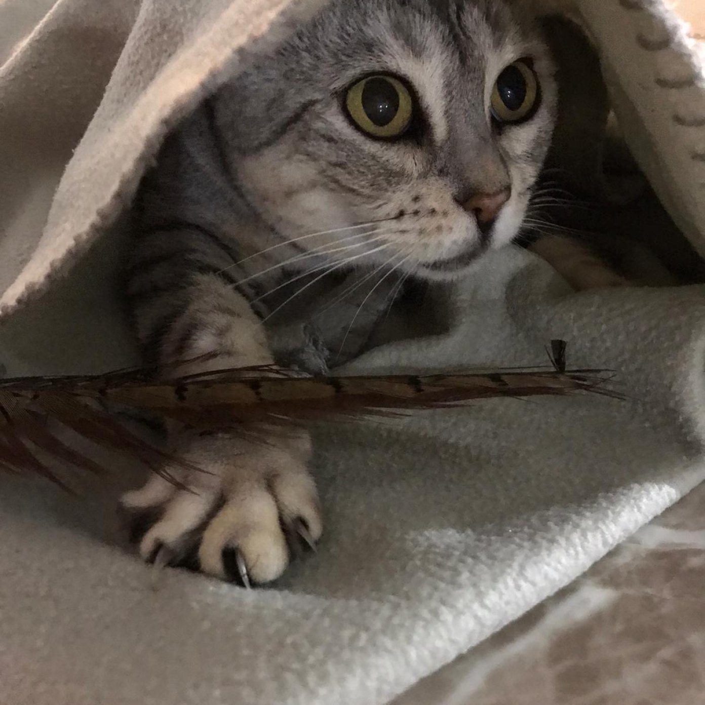 Kundenmeinung verena e