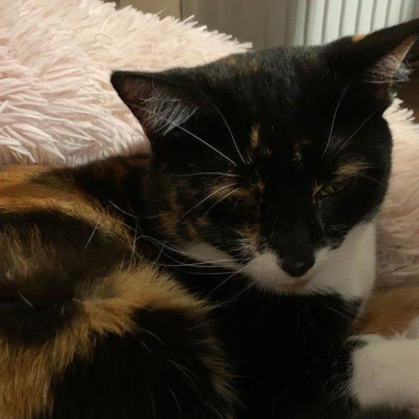 Kundenmeinung sandra s mail noe