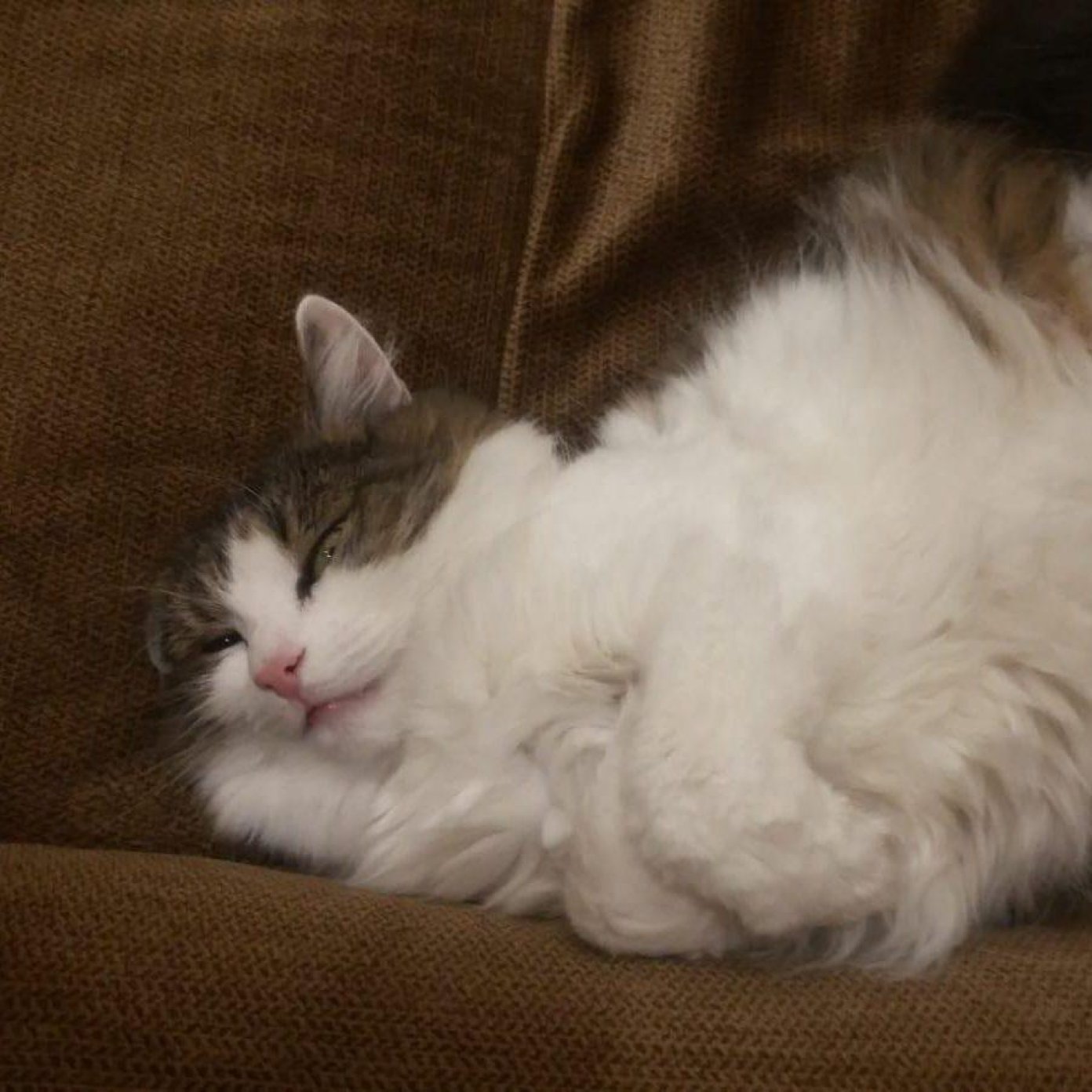 Kundenmeinung robert m