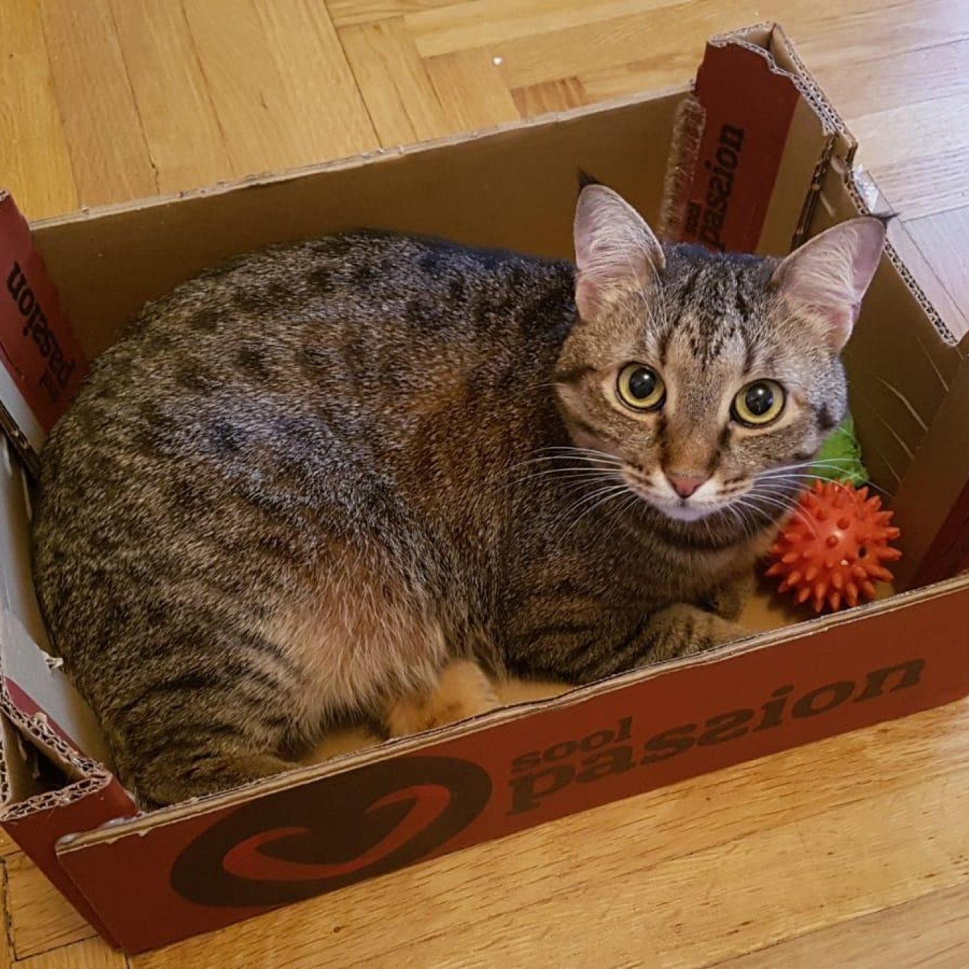 Kundenmeinung nina h