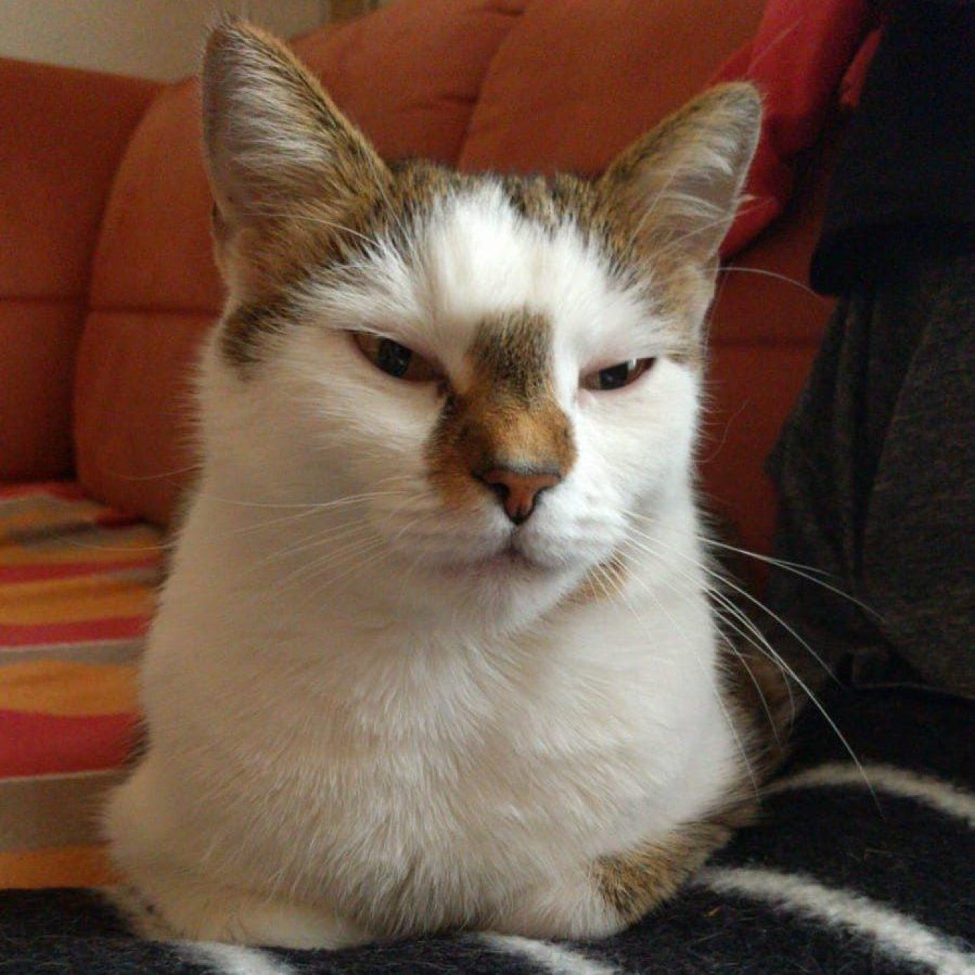 Kundenmeinung lisa s