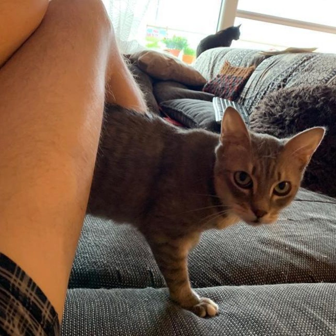 Kundenmeinung julia s