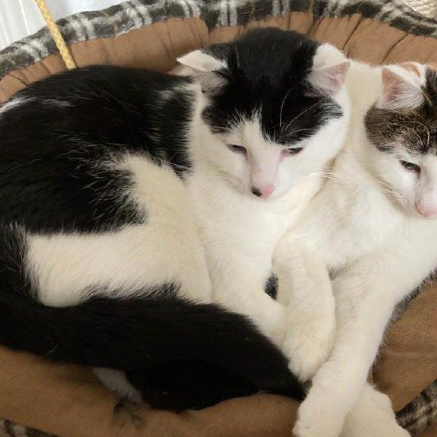 Kundenmeinung julia f ooe