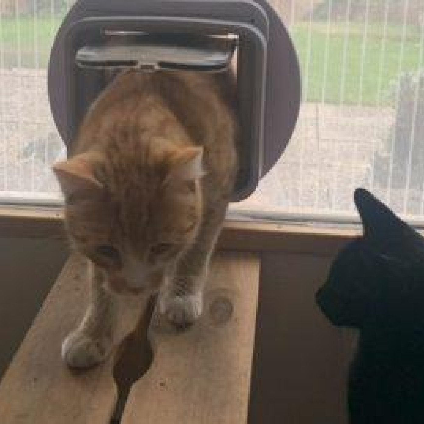 202108 kundenmeinung pia t mail wien