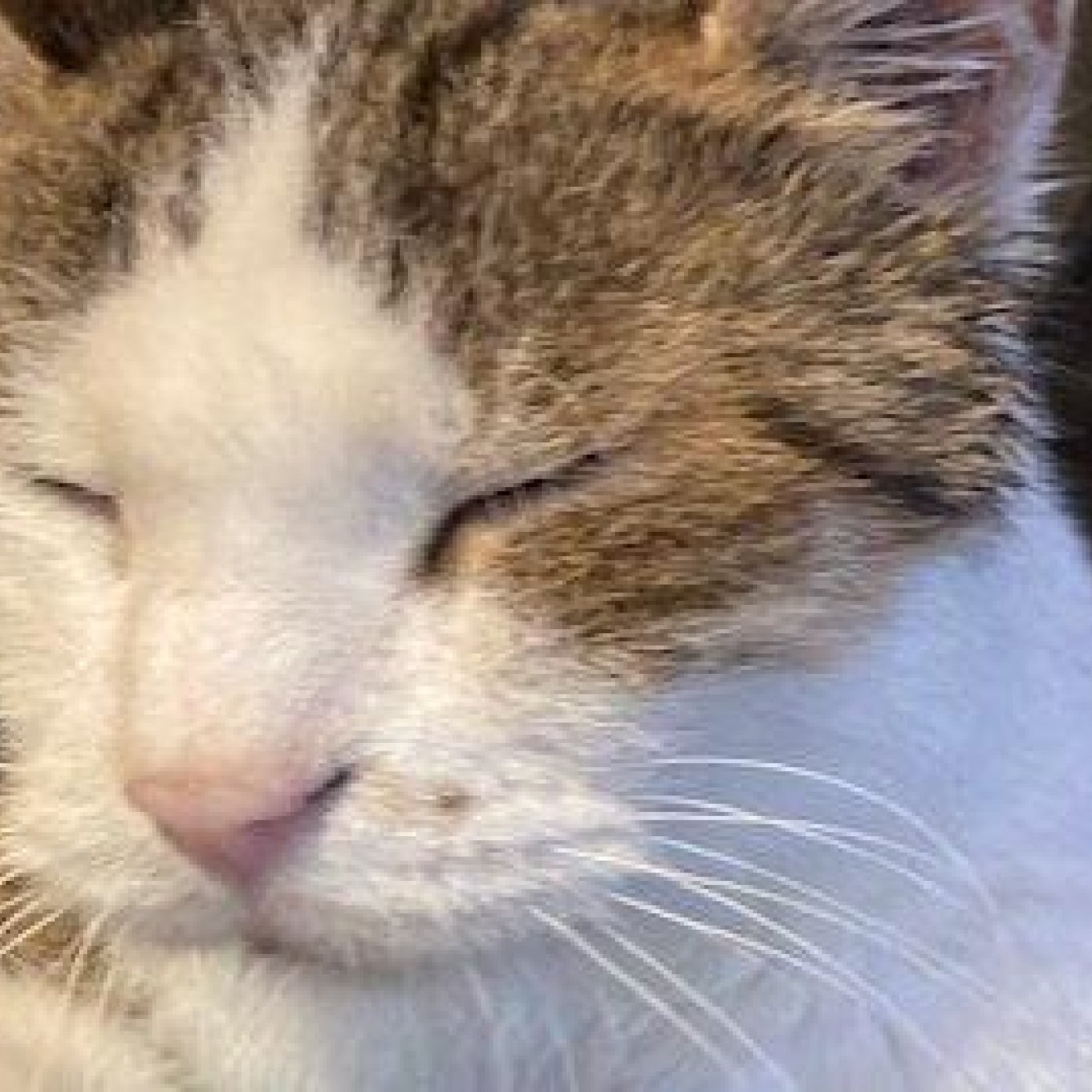 20211015 kundenmeinung stefan t facebook noe