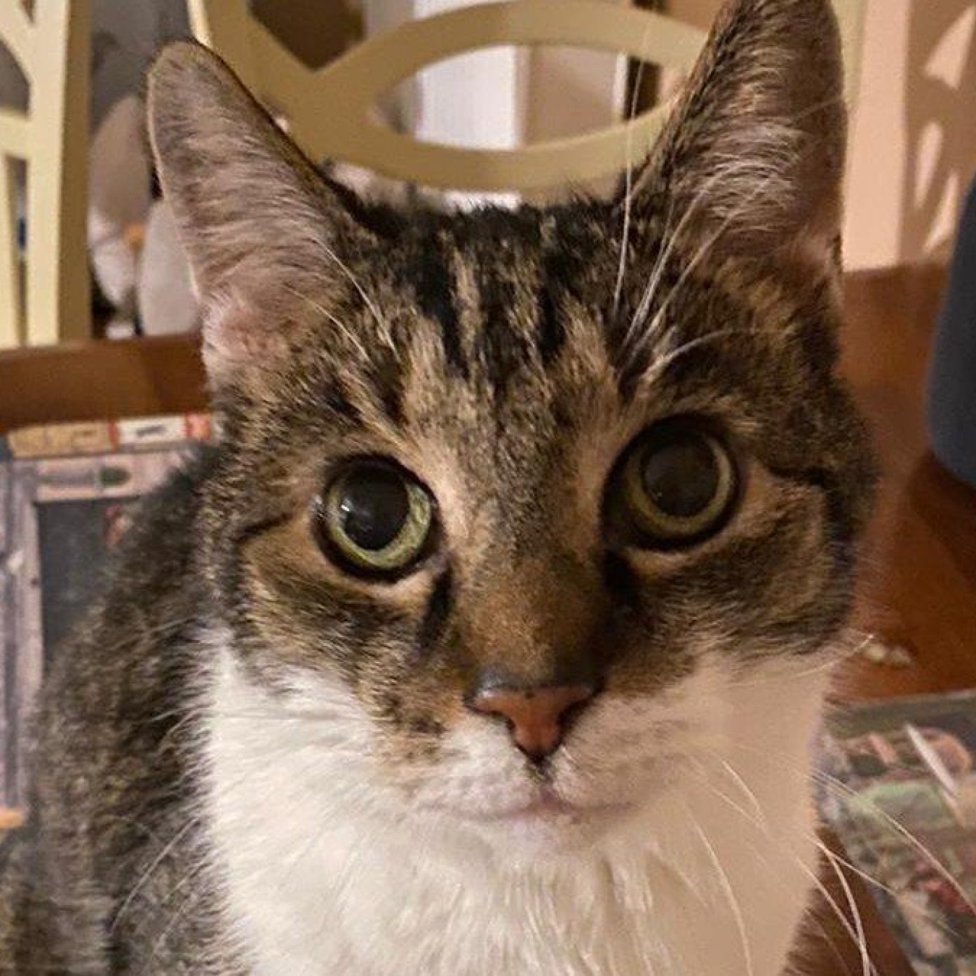 202111 kundenmeinung bianca m wien mail noe