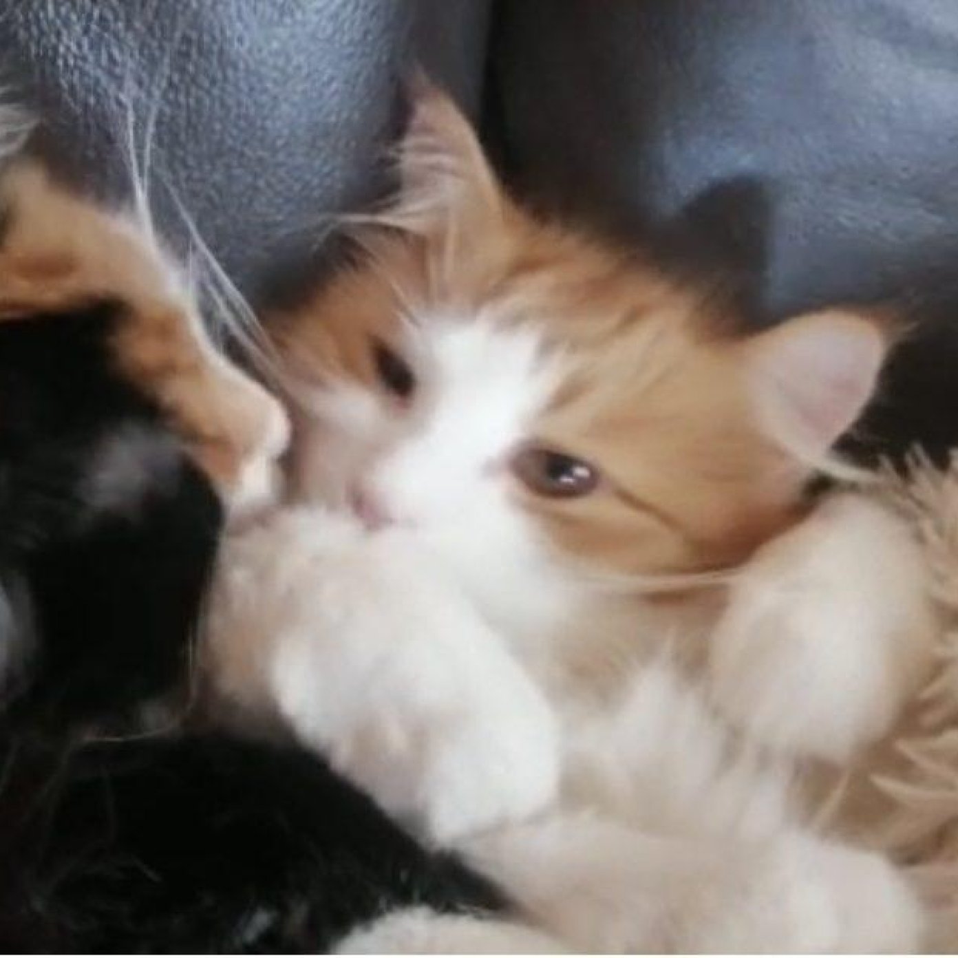 202202 kundenmeinung familie b herold noe