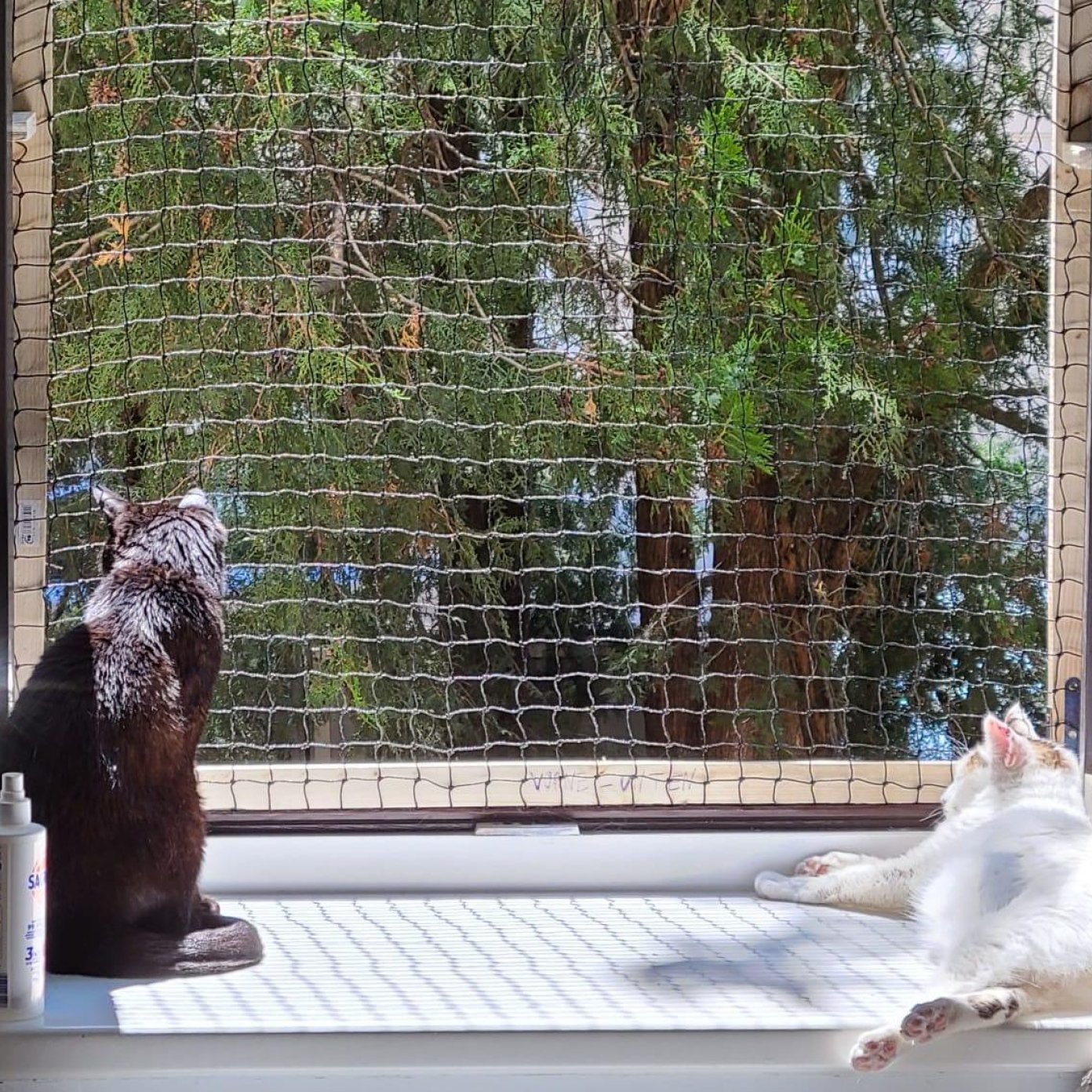 202207 kundenmeinung katja h mail wien