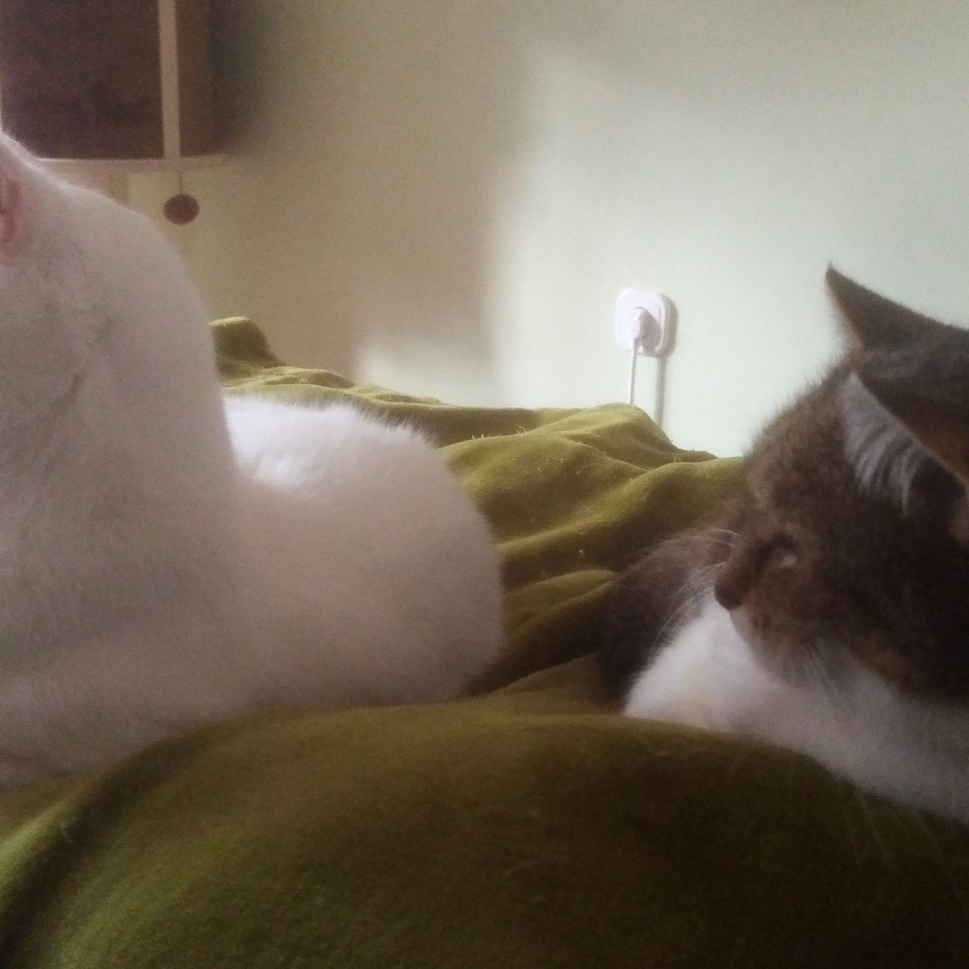 202210 kundenmeinung ilse u mail noe