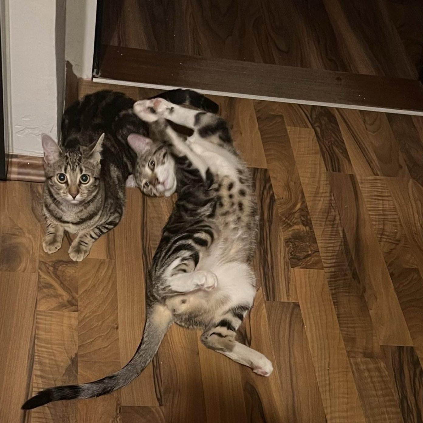 202211 kundenmeinung stefan t herold noe