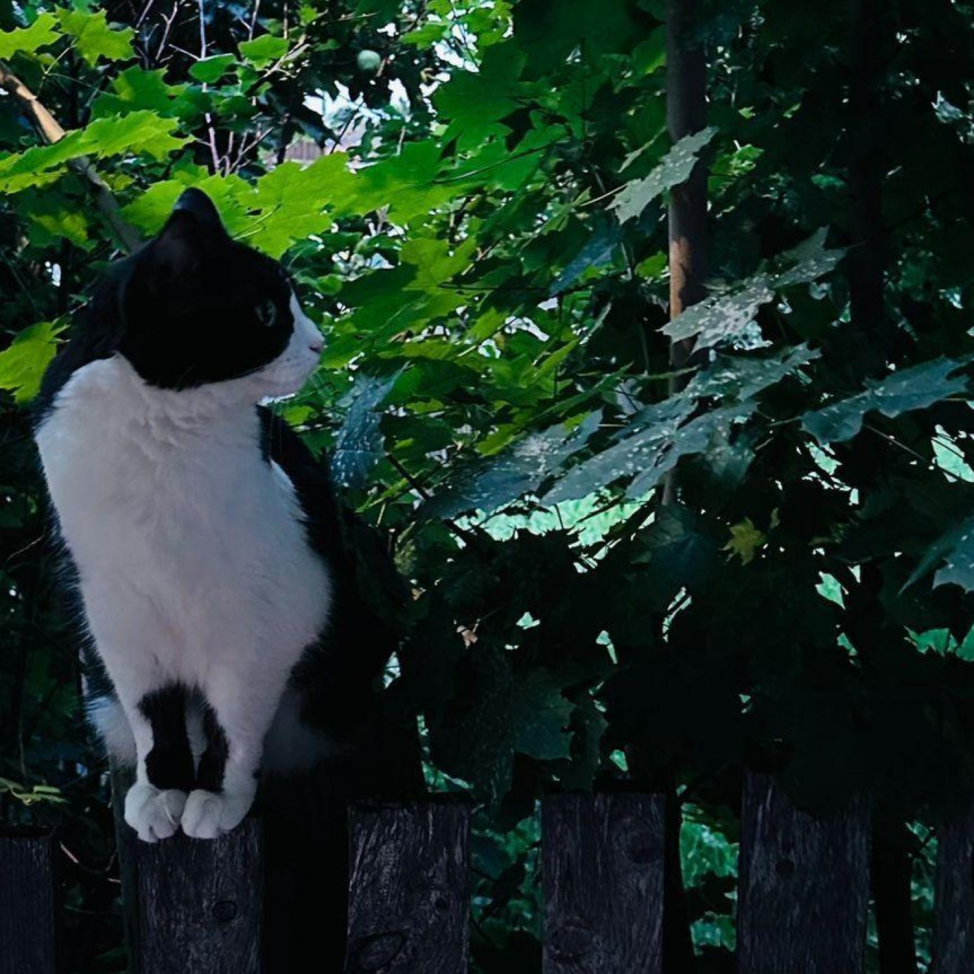 202308 kundenmeinung pamela b ooe google