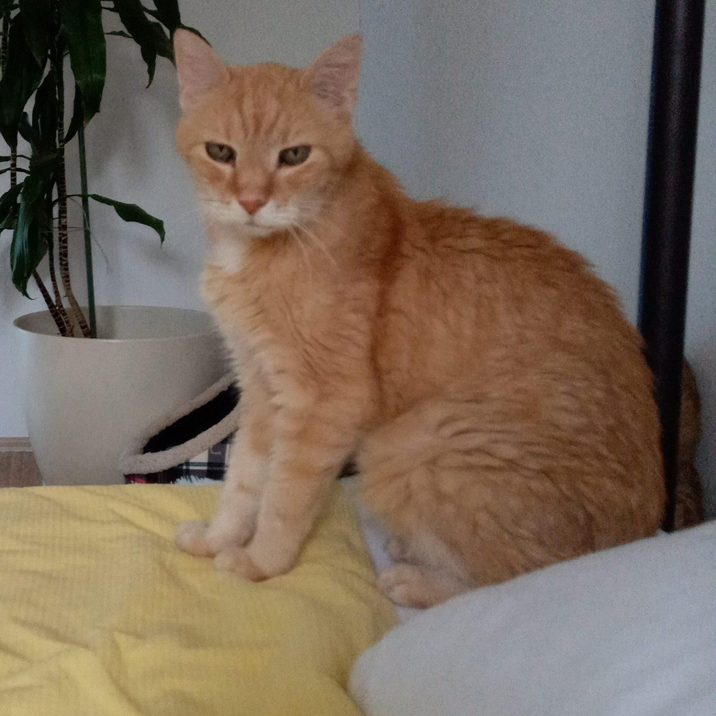 202309 kundenmeinung christa j google noe