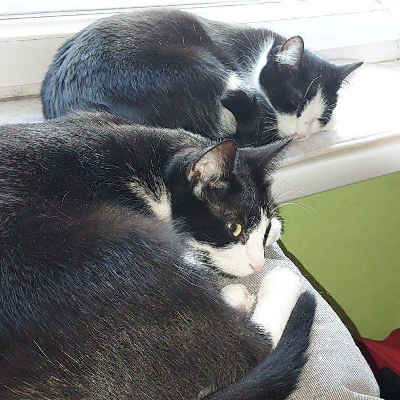 202312 kundenmeinung martin r noe google