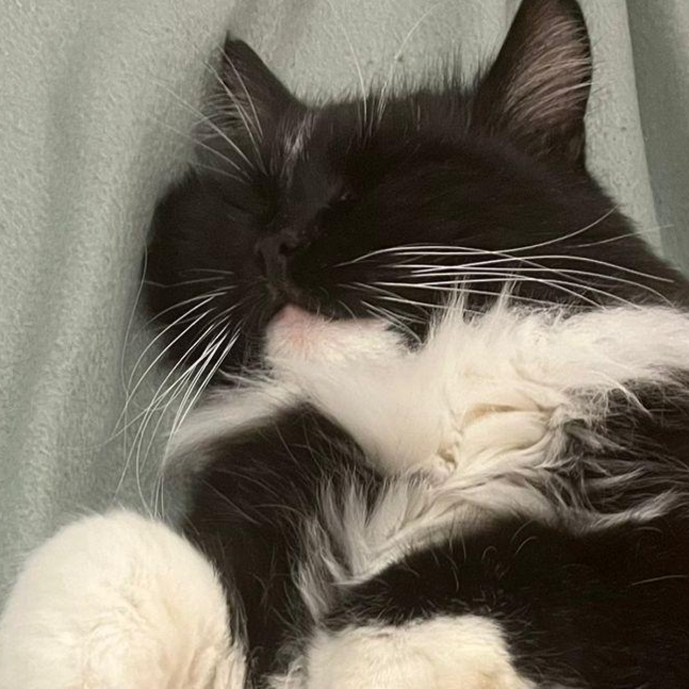 202401 kundenmeinung waltraud whatsapp noe