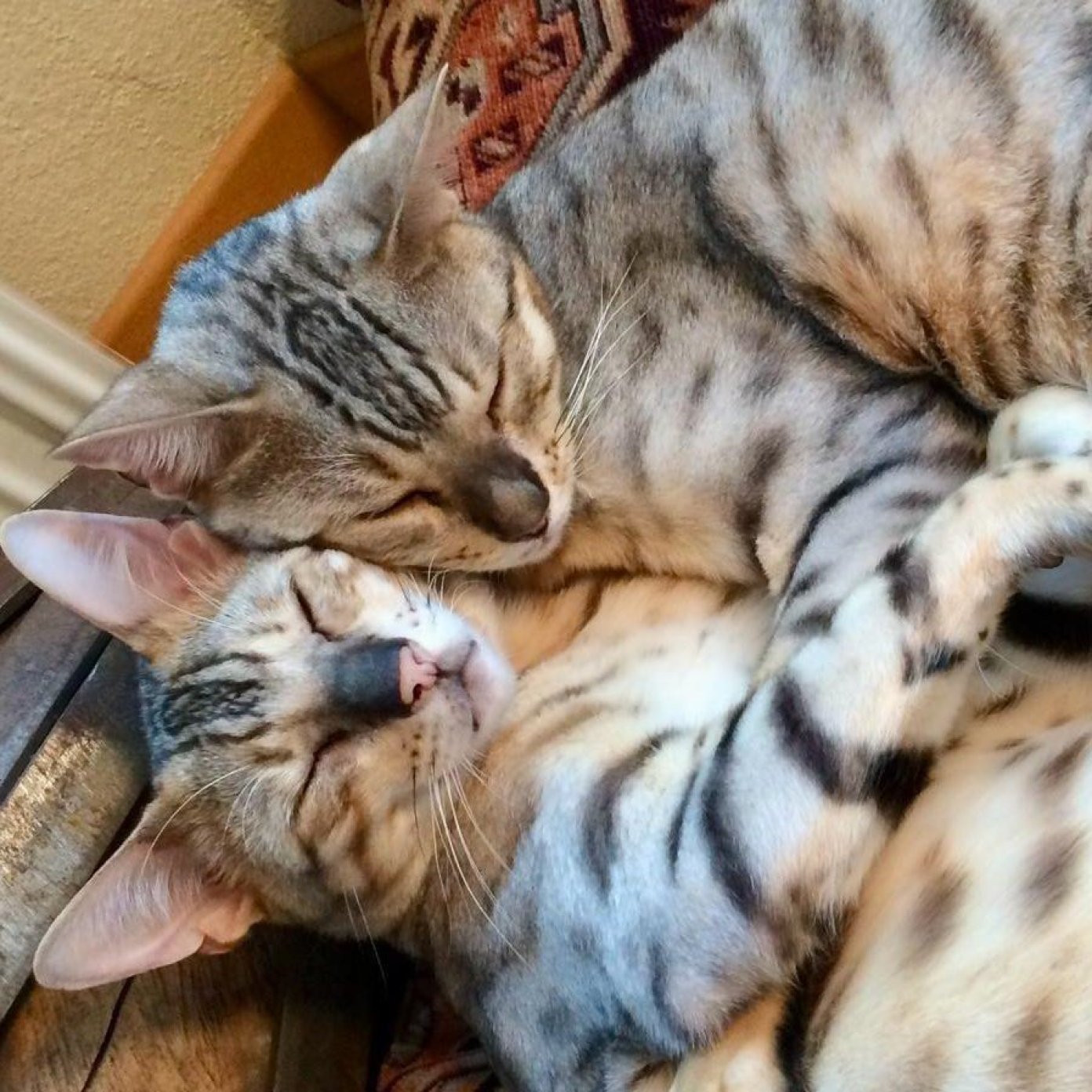 202402 kundenmeinung georg g herold noe