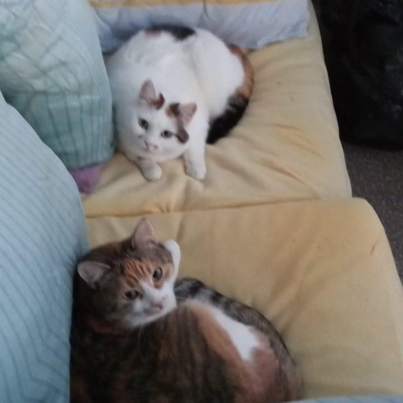 202405 kundenmeinung maria g herold wien