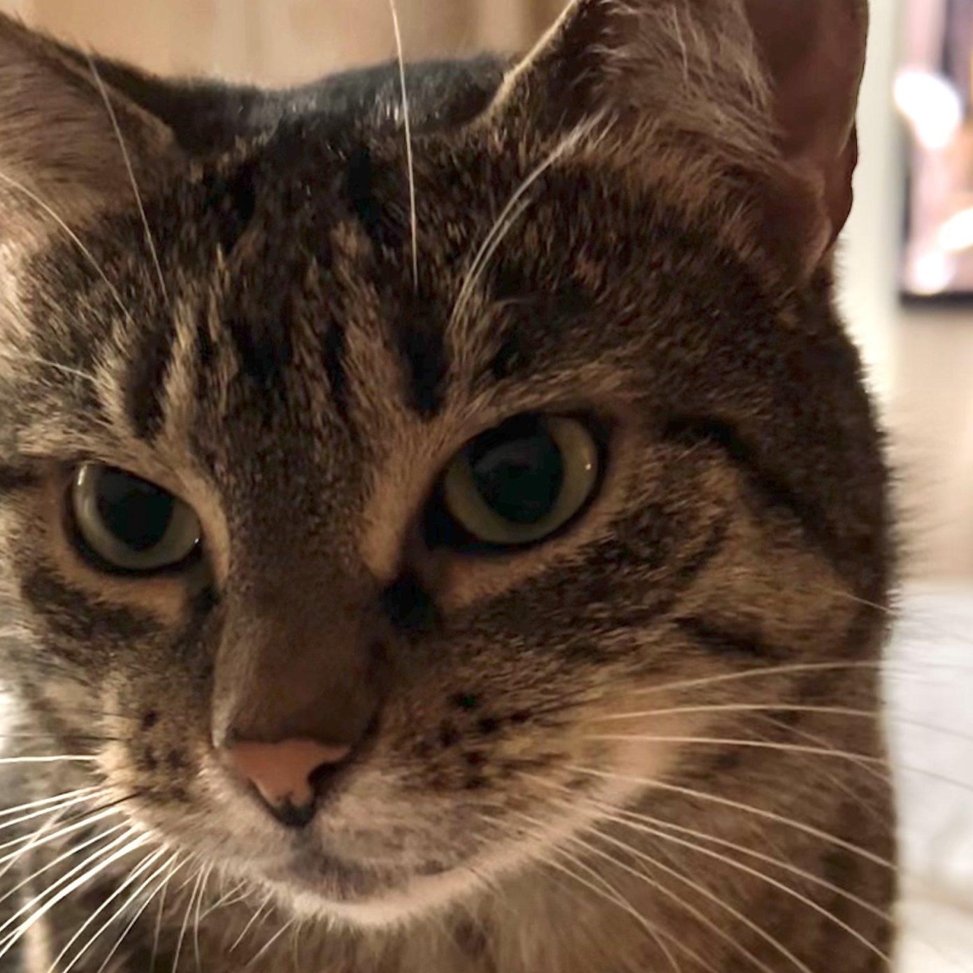 202406 kundenmeinung katrin k herold wien