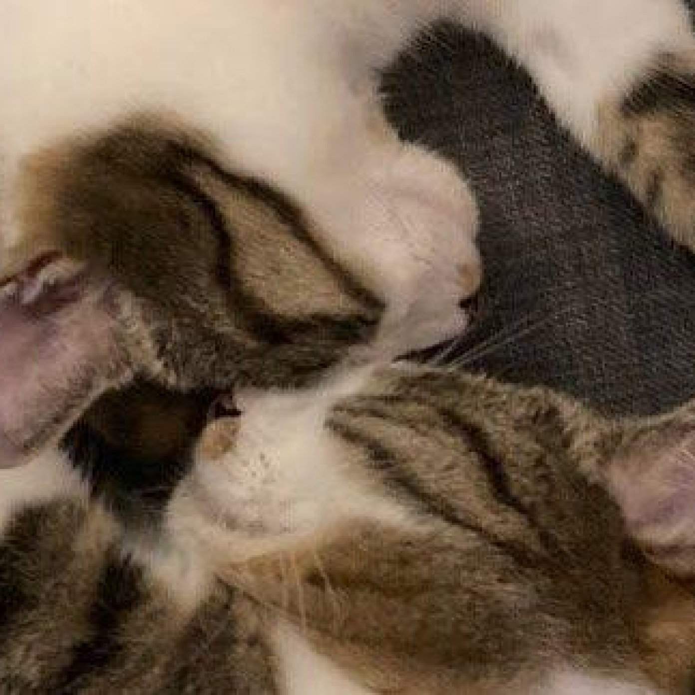 202406 kundenmeinung mario wien google