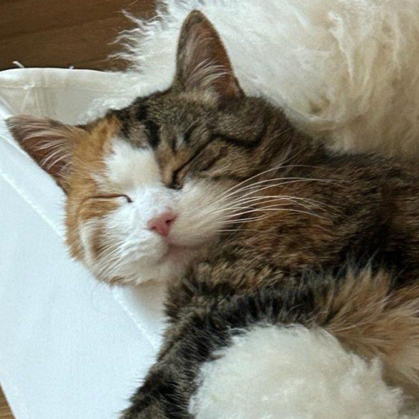 202407 kundenmeinung elke s mail noe