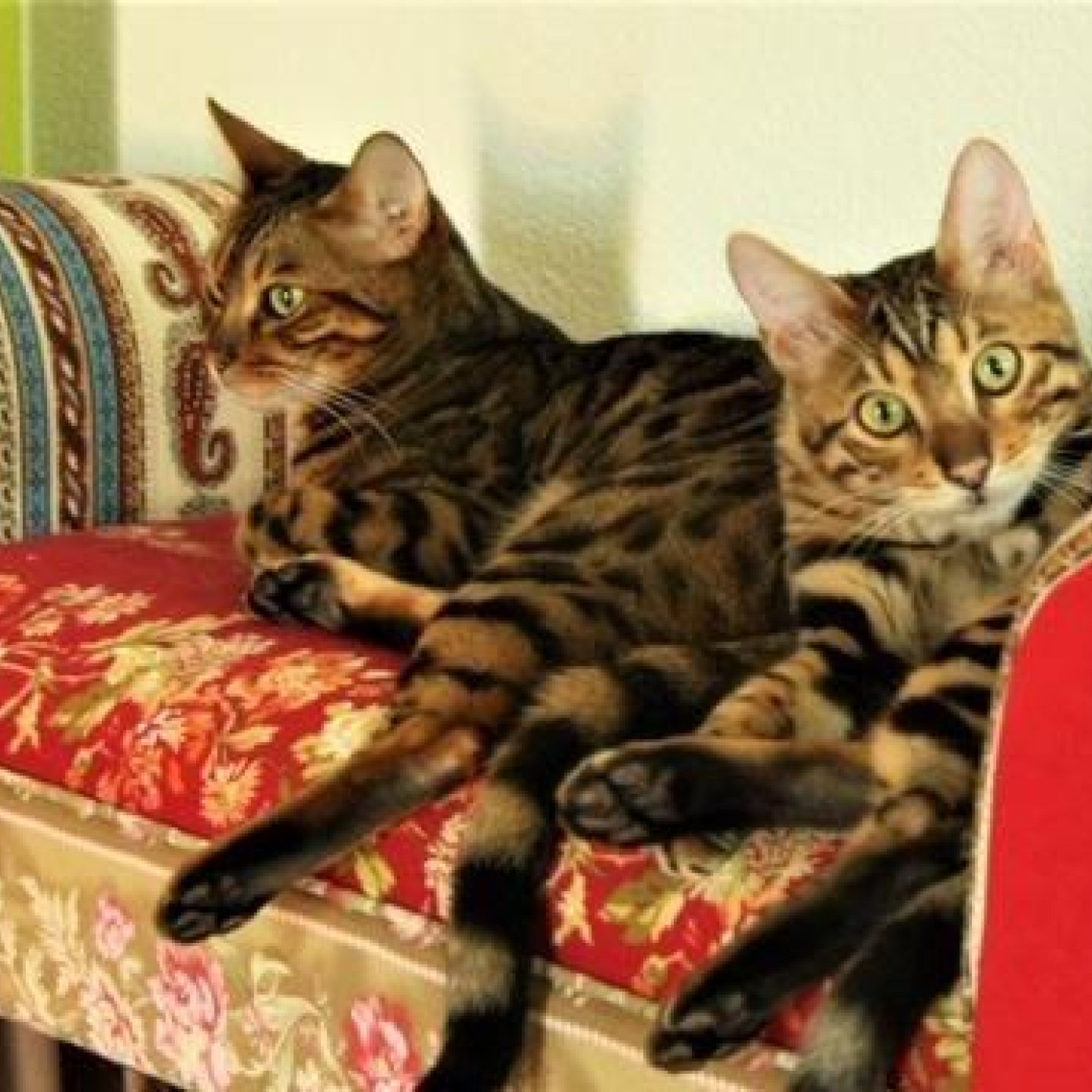 Kundenmeinung hannelore d