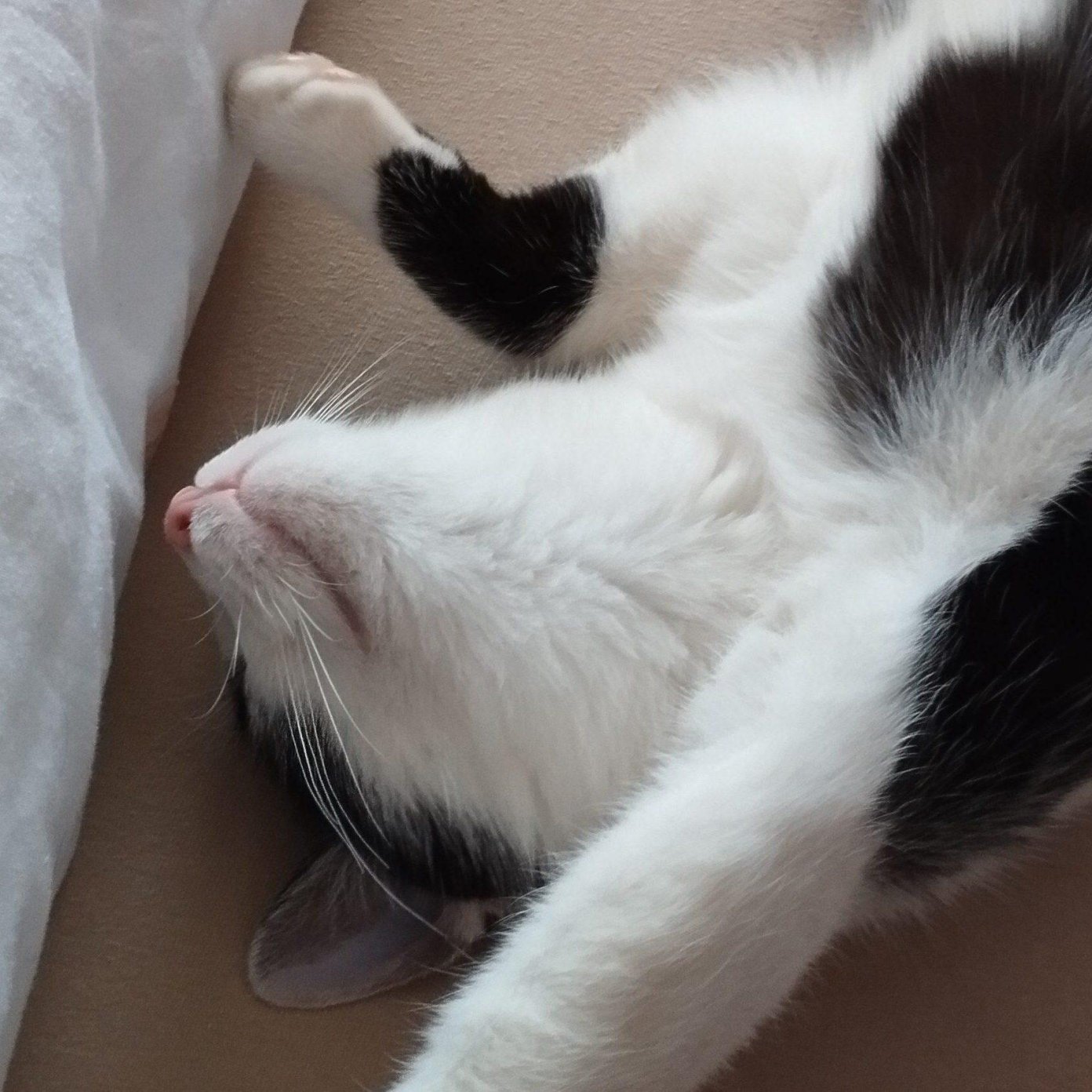 202501 kundenmeinung eva b noe mail