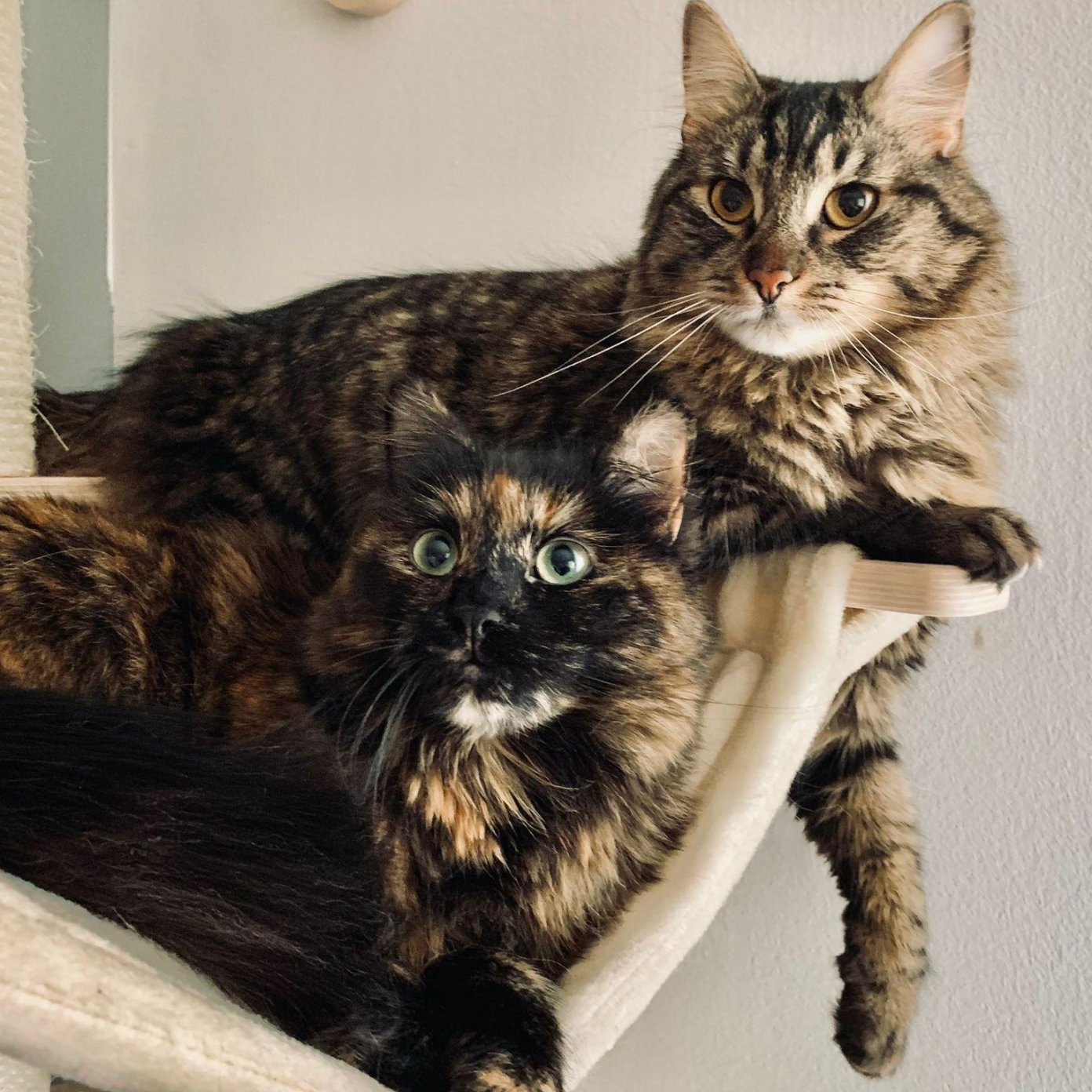 Kundenmeinung Lena S.