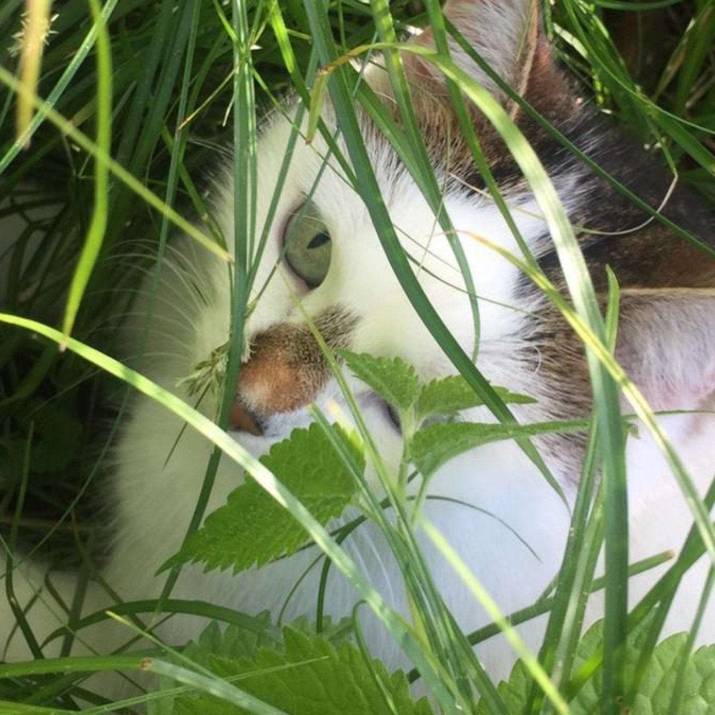 Kundenmeinung gabi h