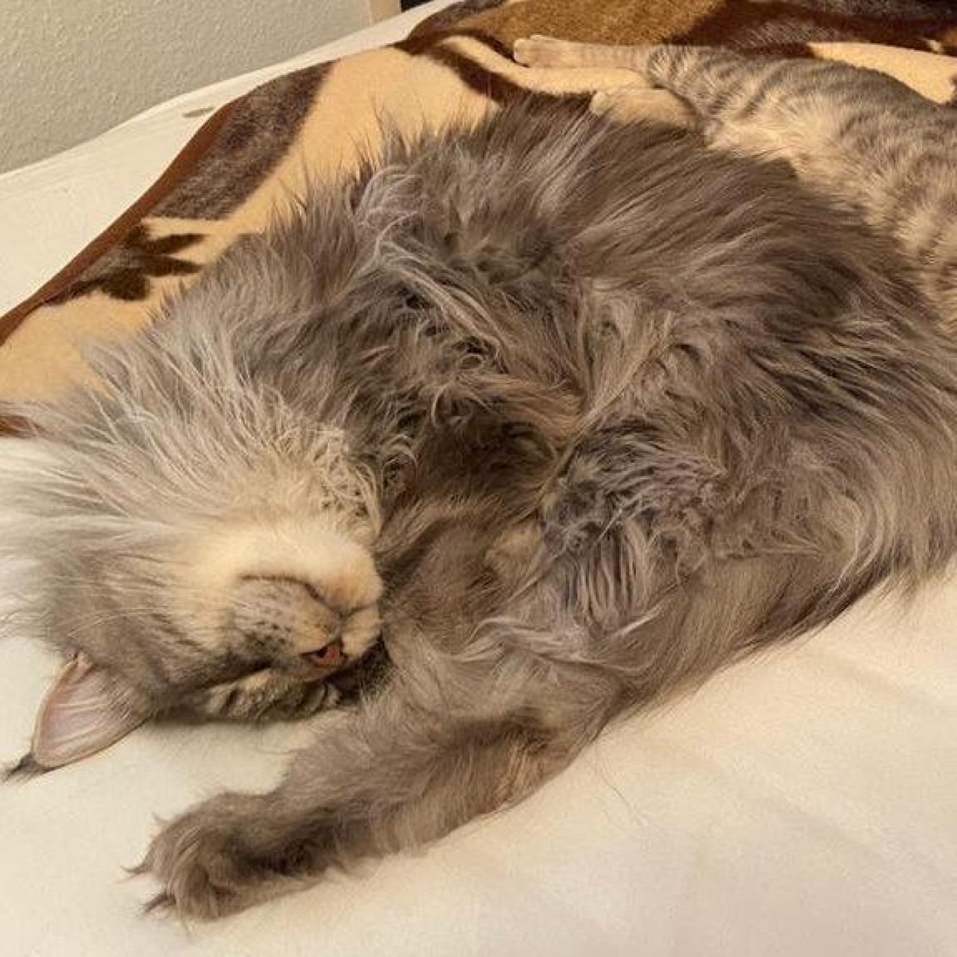 Kundenmeinung elisa r fb wien