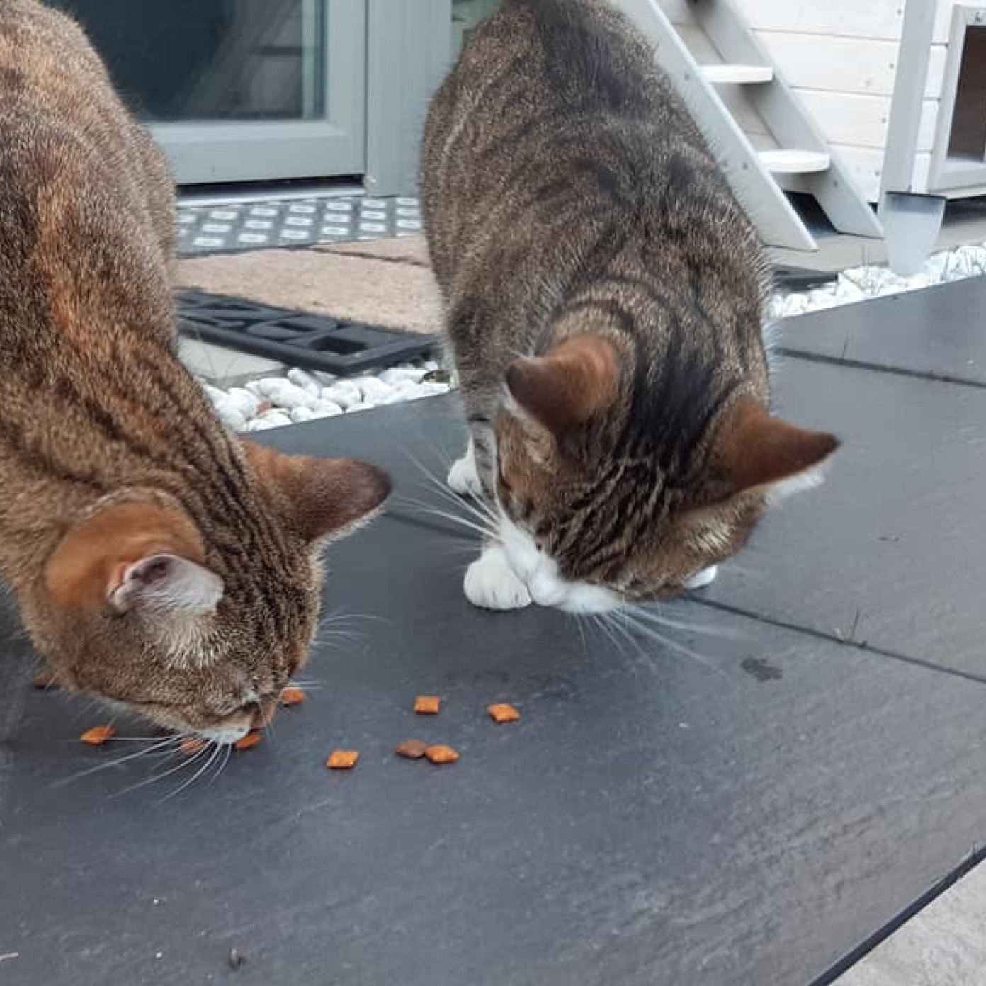 Kundenmeinung cynthia s