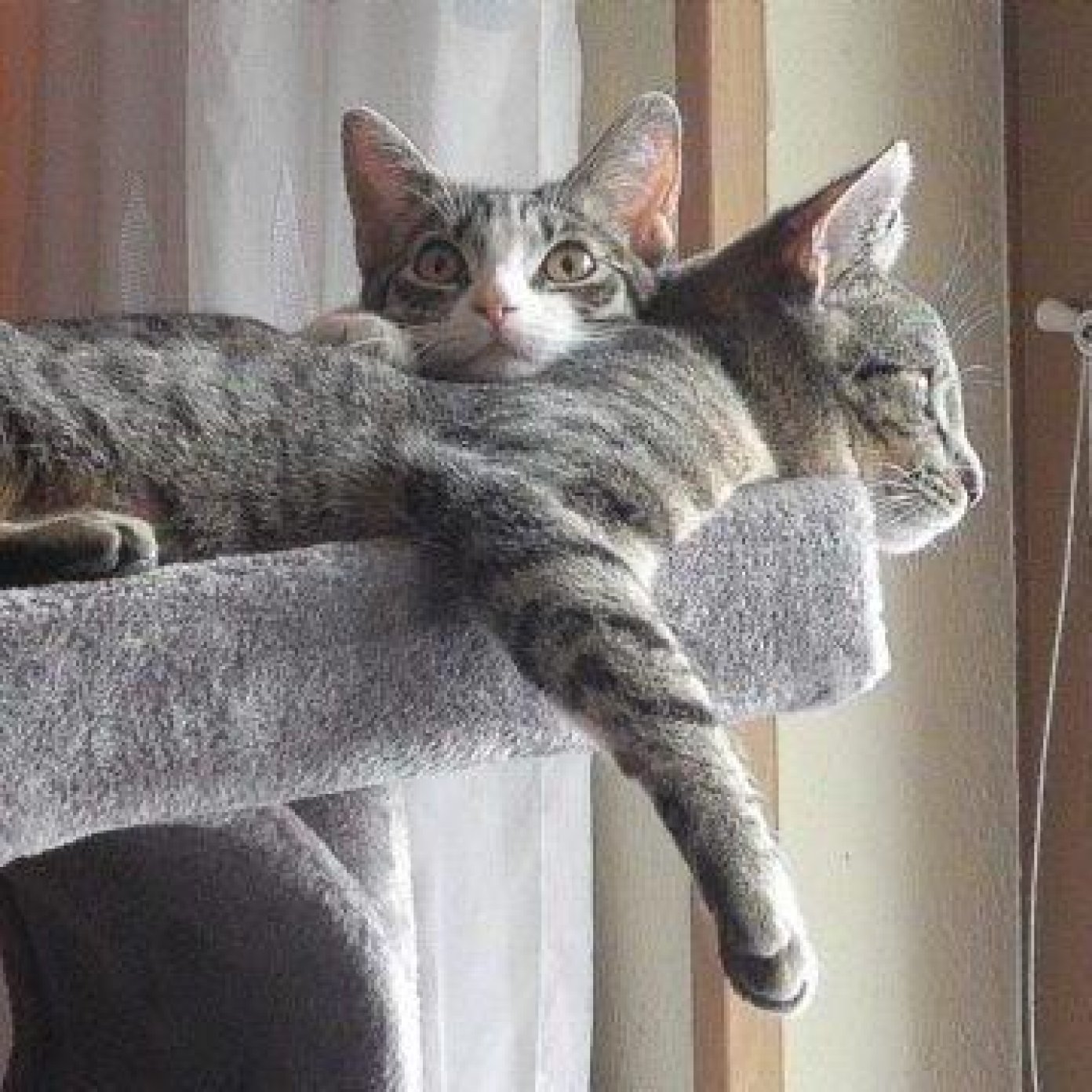 Kundenmeinung beate k mail wien