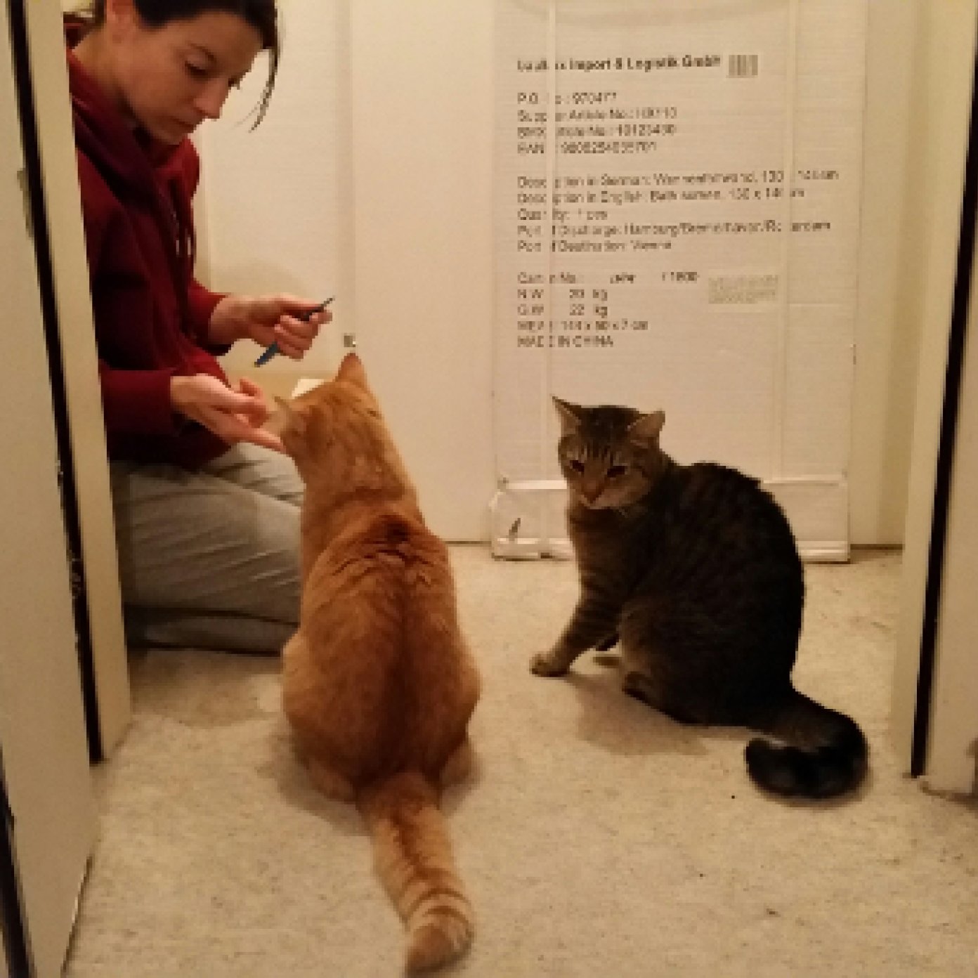 Kundenmeinung alexandra k