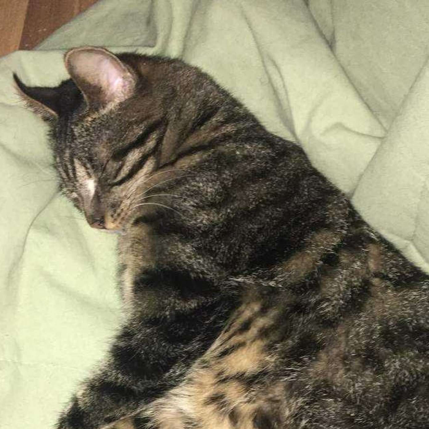 Kundenmeinung albert s noe mail