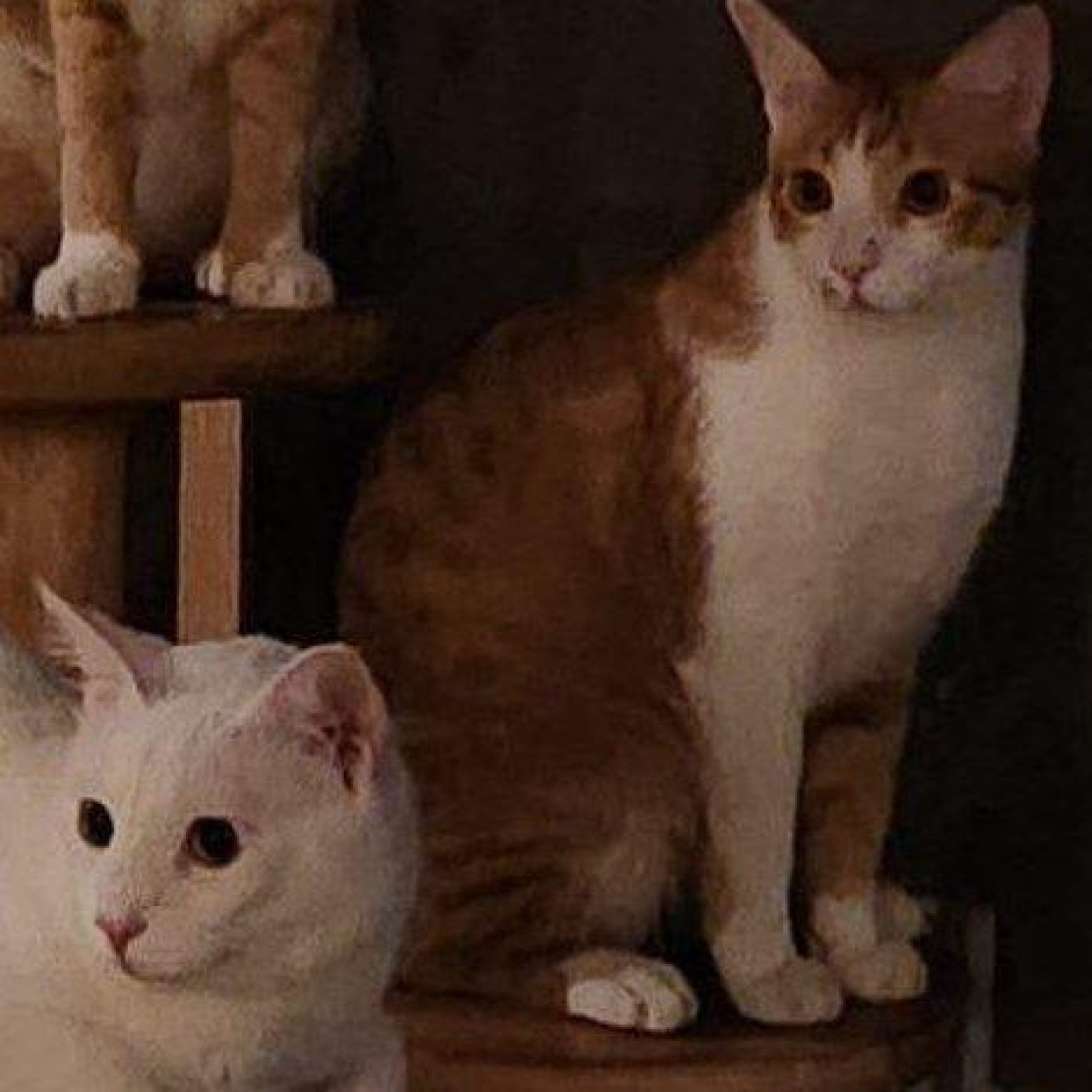 202407 kundenmeinung karina s facebook irland