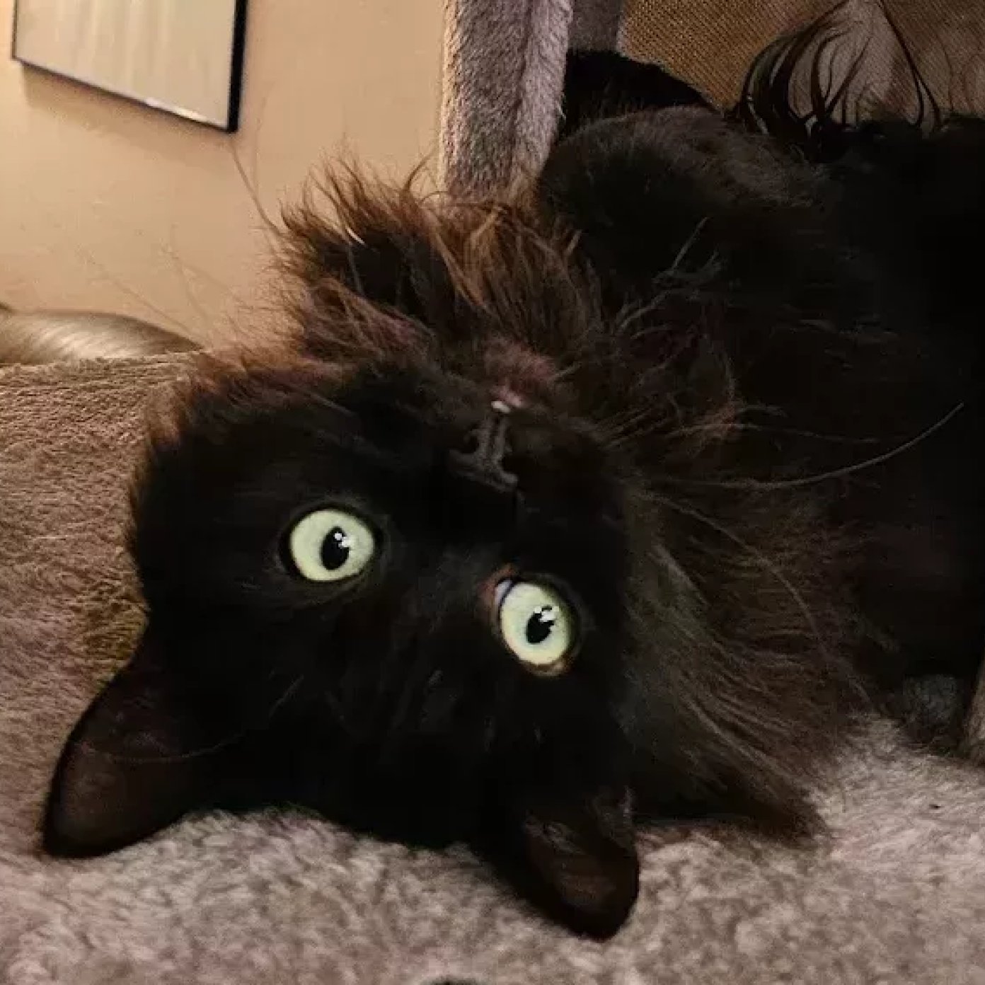 202404 kundenmeinung sabine k google wien