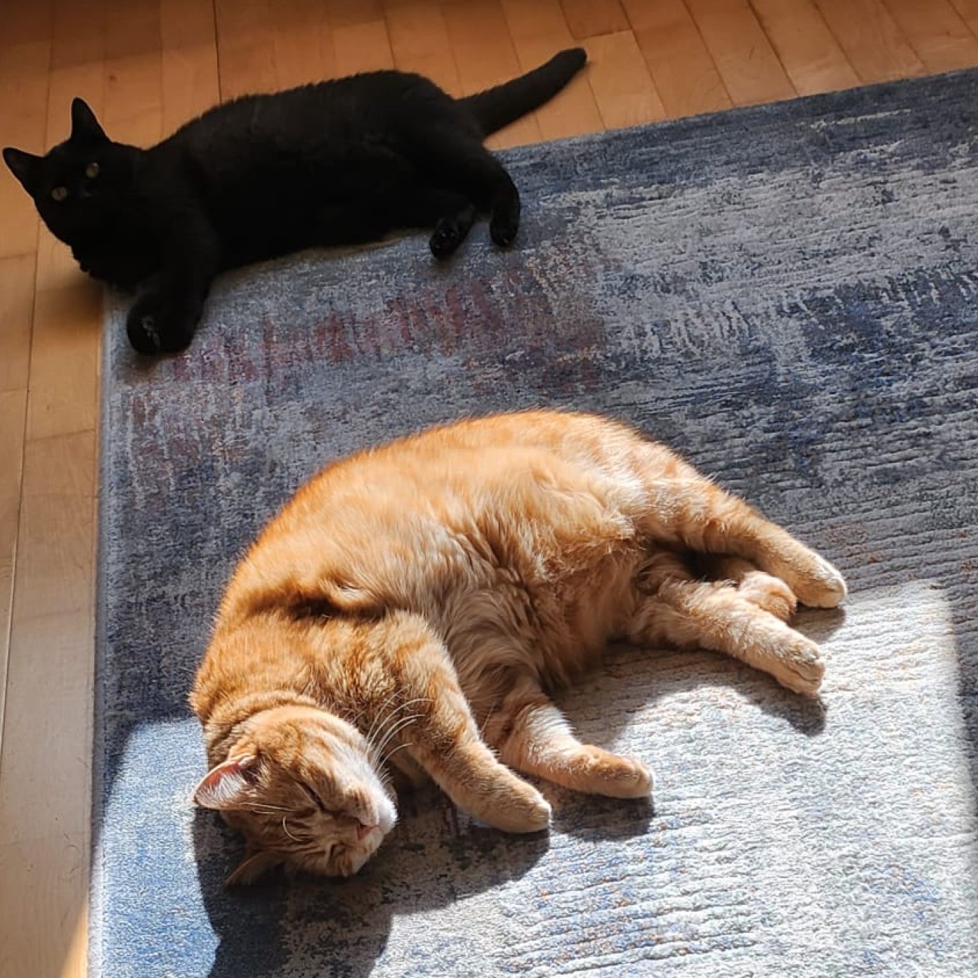 202403 kundenmeinung barbara m wien mail