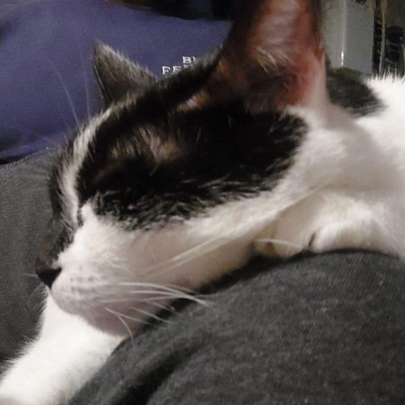 202402 kundenmeinung marcel k wien herold