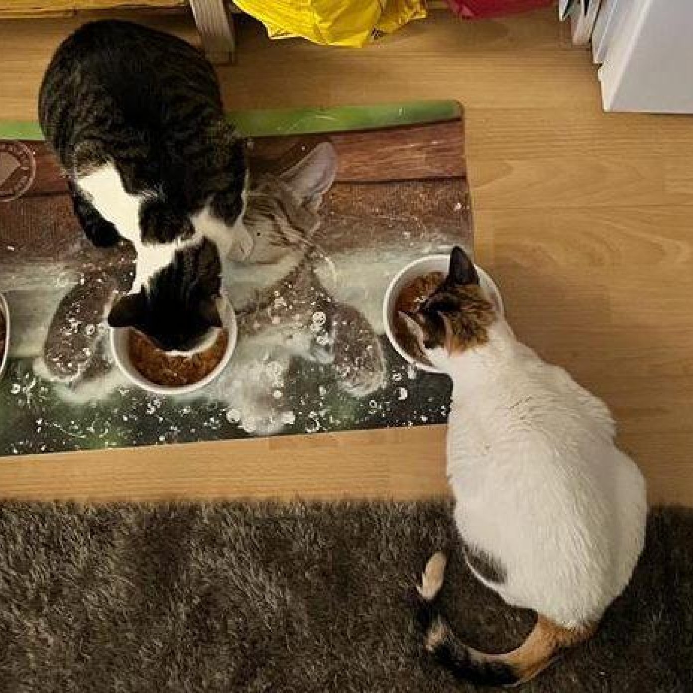 202401 kundenmeinung wien mail ursula p