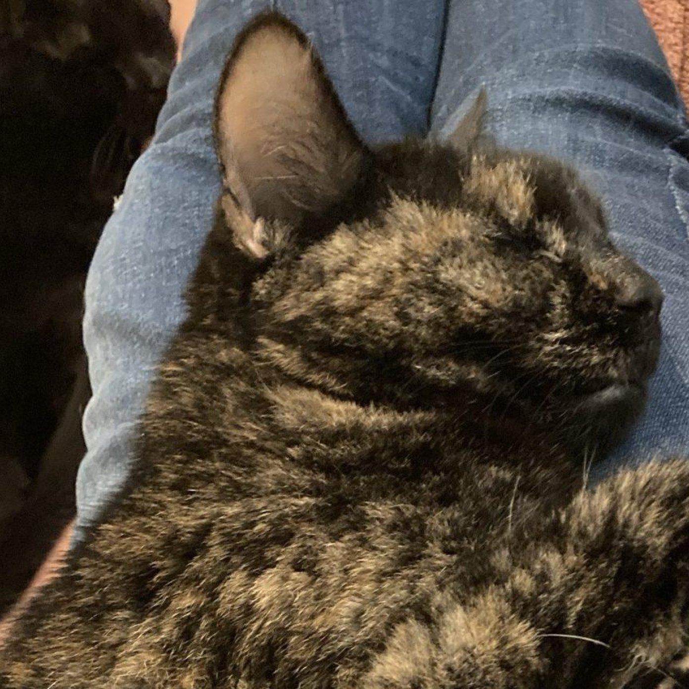 202401 kundenmeinung google wien yvonne p