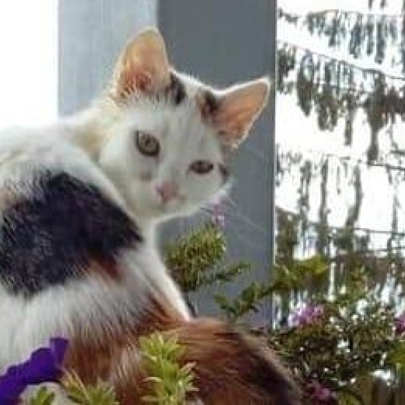 202309 kundenmeinung maria g noe facebook