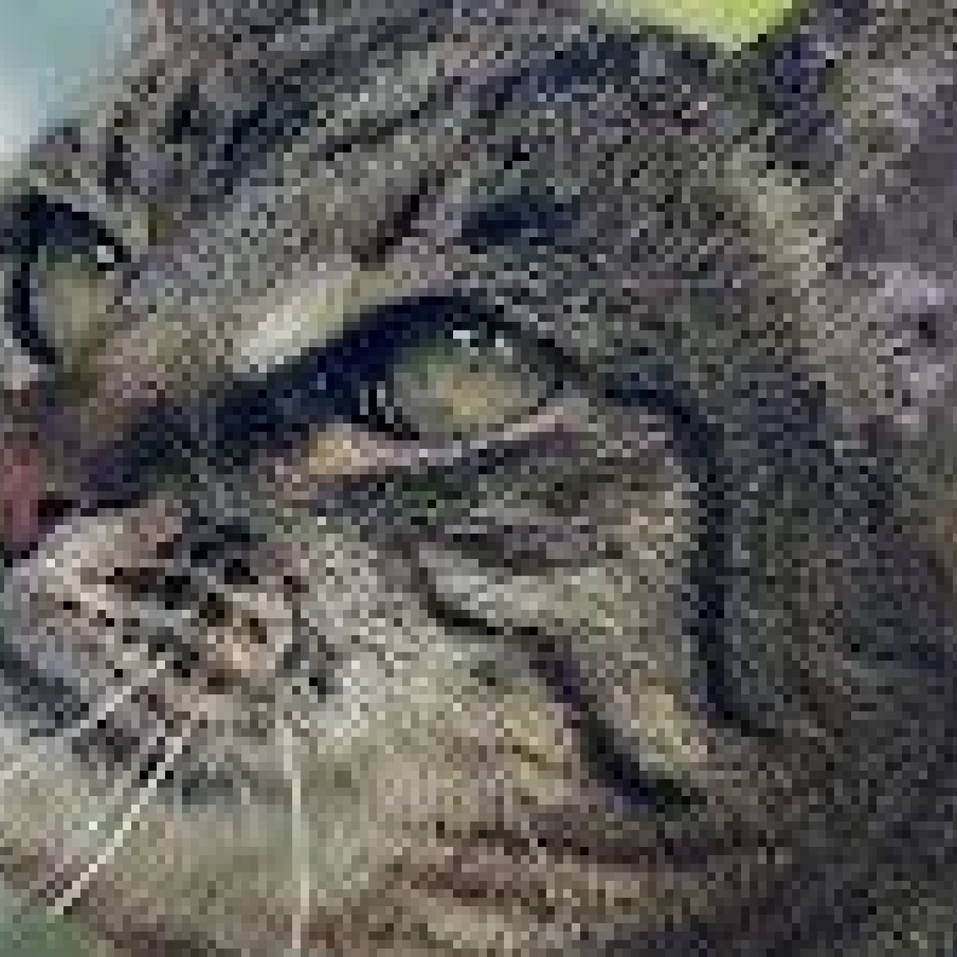 202306 kundenmeinung herold wien steffi l