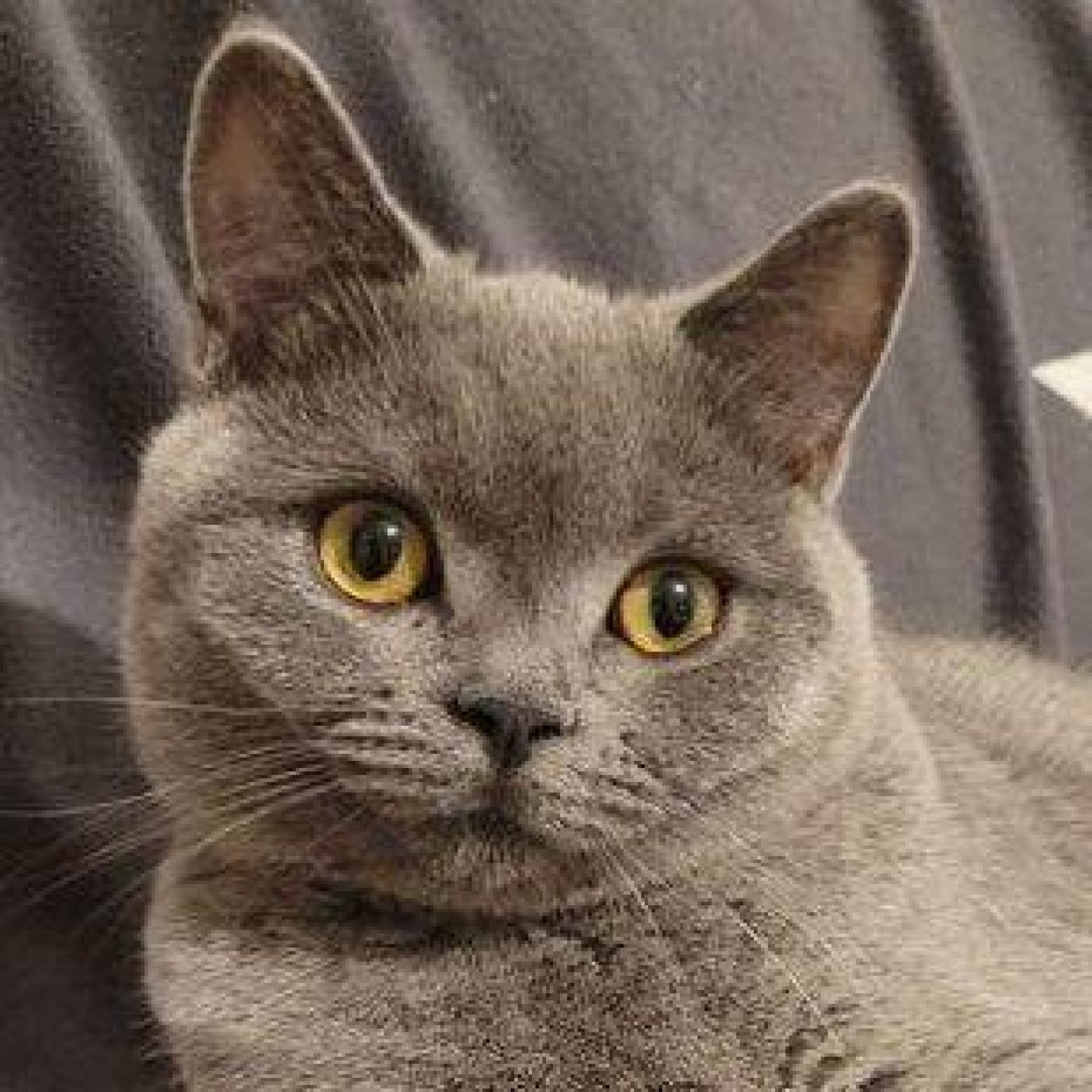 202305 kundenmeinung silvia l facebook kaernten