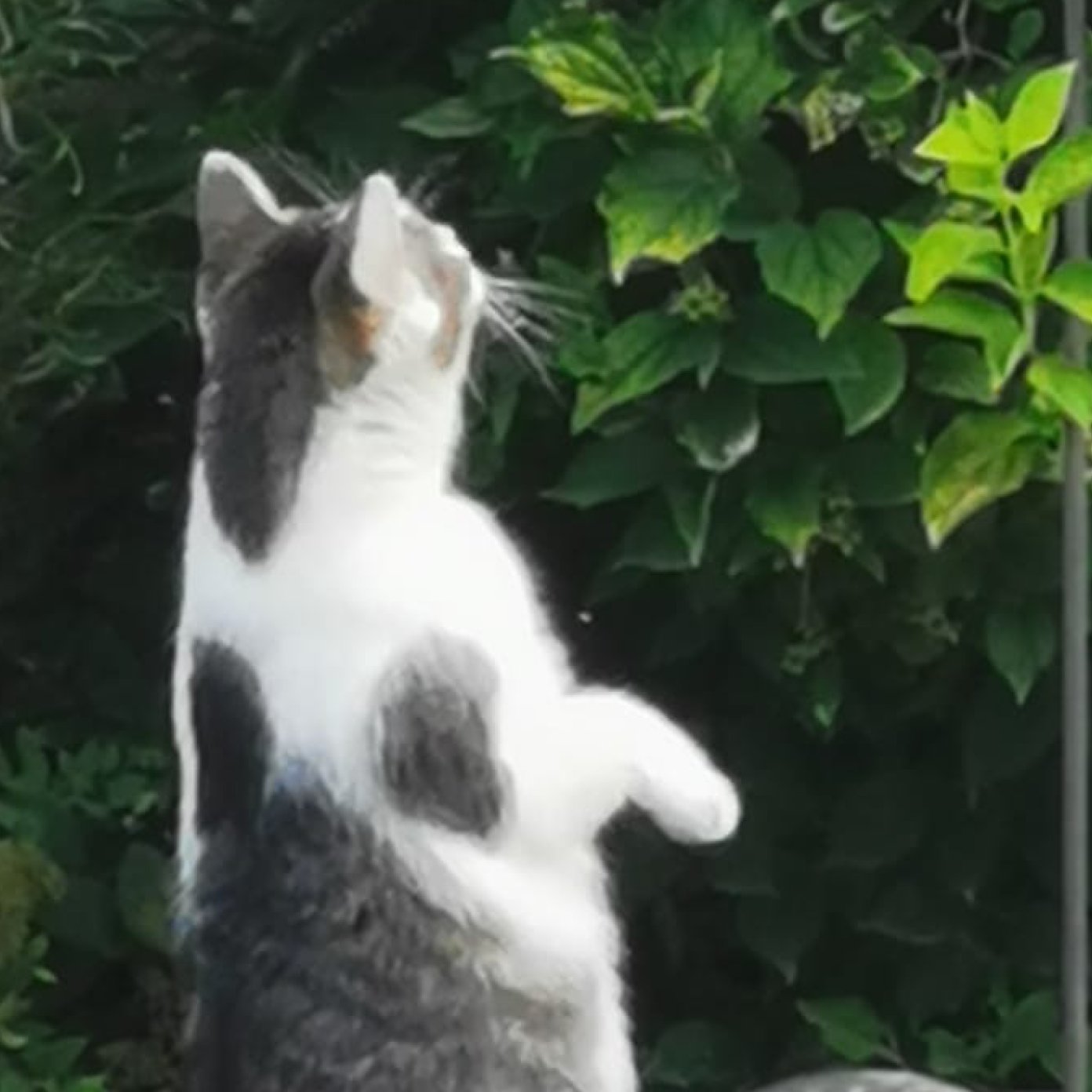 202210 kundenmeinung edwin f facebook noe