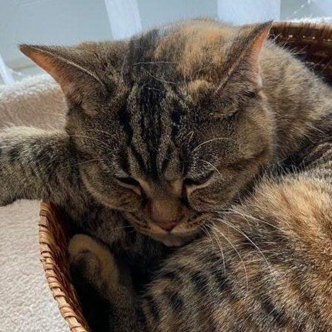 202209 kundenmeinung andreas w noe fb