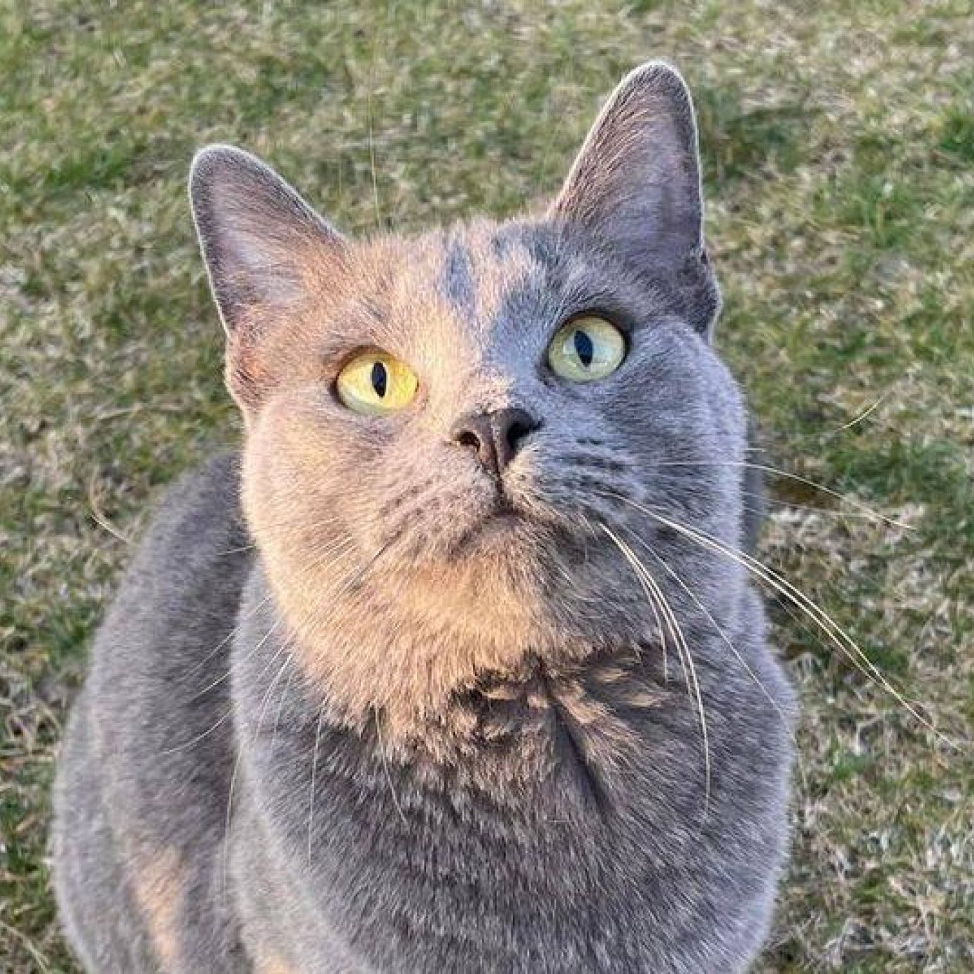 202204 kundenmeinung cornelia m facebook noe