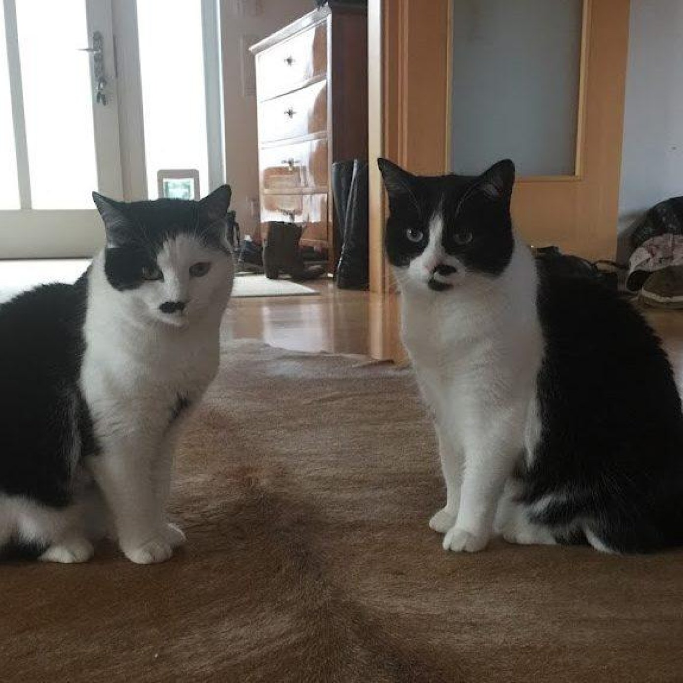 202203 kundenmeinung elisabeth g google wien