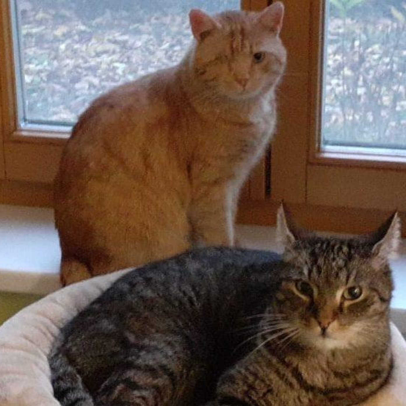 202201 kundenmeinung julia r noe google