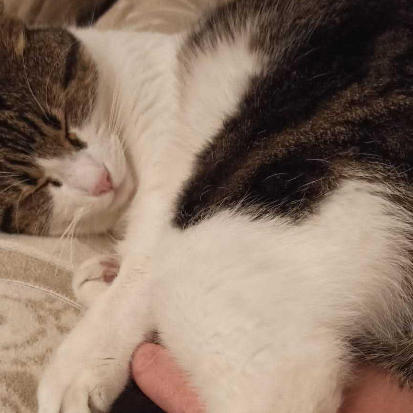 202201 kundenmeinung dieter s herold wien