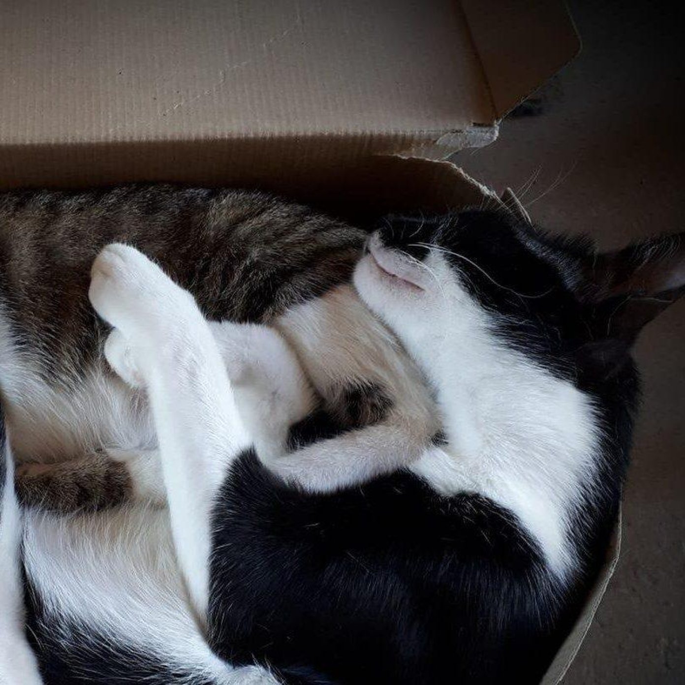 202109 brigitta l kundenmeinung fb noe