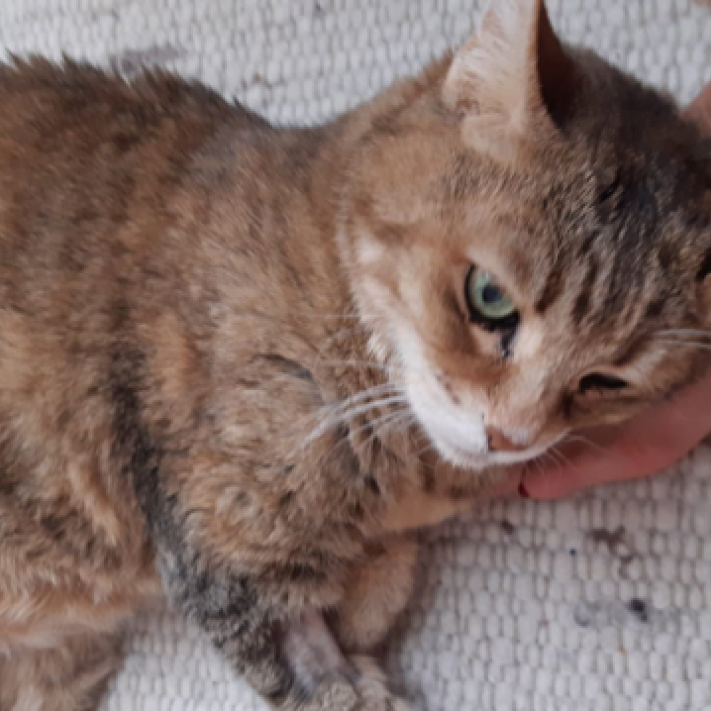 202110 kundenmeinung ingrid s wien mail